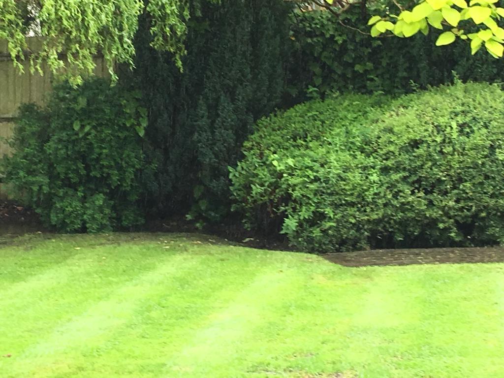 Tempat Tidur & Sarapan Sleepneat Ascot (Berkshire)
